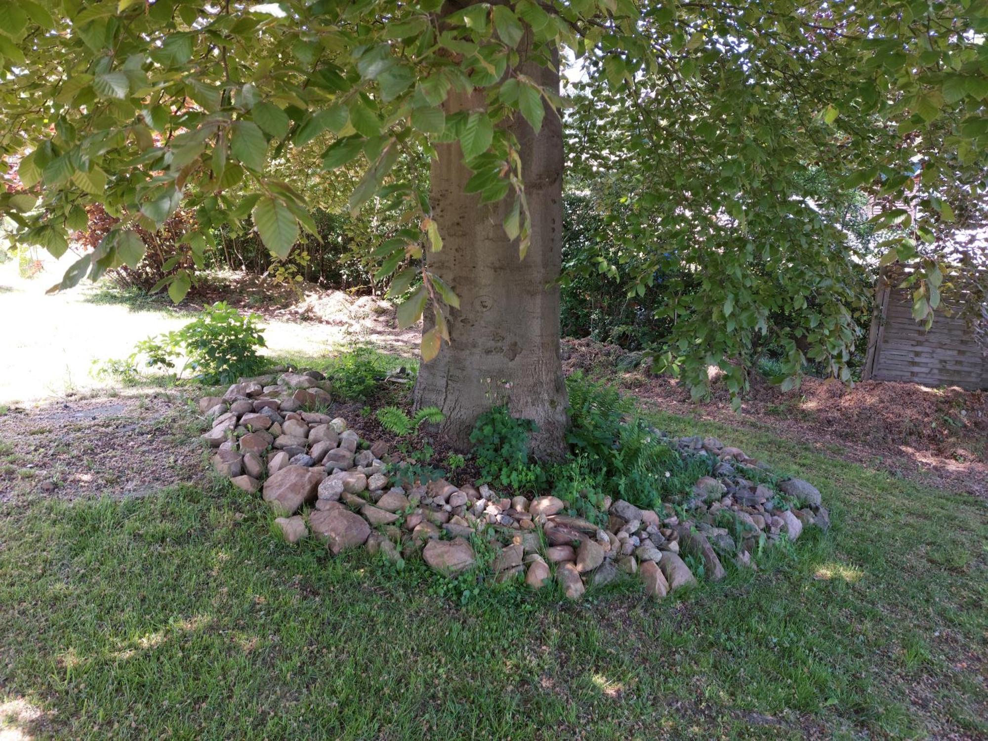 Gasthof Oberschmiede Auf der Wiese Bagian luar foto